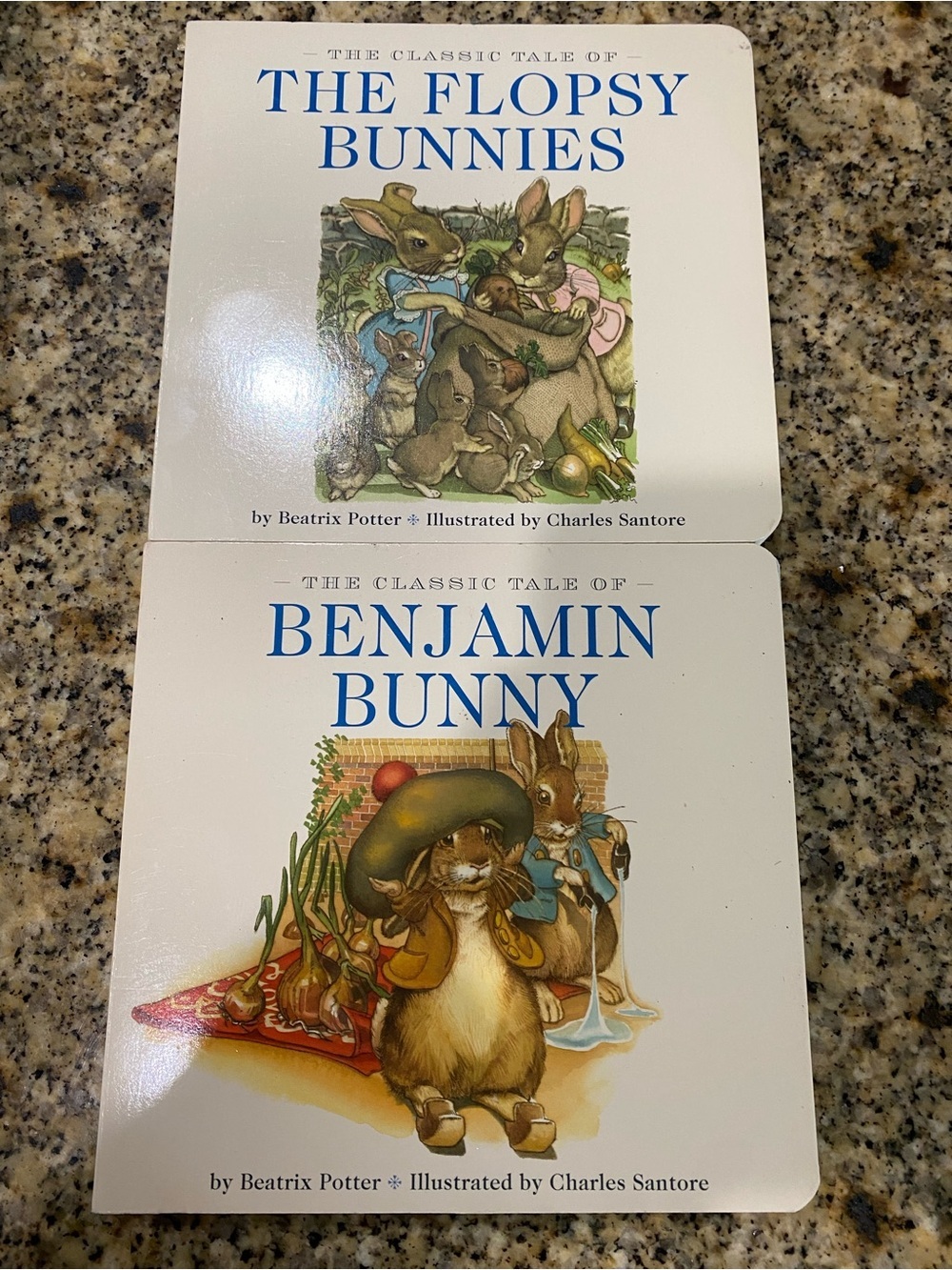 VTG Beatrix Potter Board Book Benjamin Bunny & Flopsy Bunnies Charles Santore